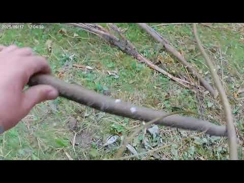 Видео: Дробилка для веток "Оазис".
