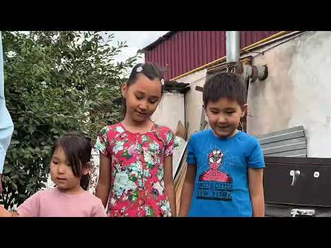 Видео: Отбасы күні мерекесіне орай аудандық мәдениет үйі ұжымы Алтын той иелерін құттықтады.