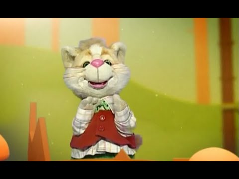 Видео: 📀День информации 26 ноября - Праздник каждый день - 41 - (Шишкин лес)