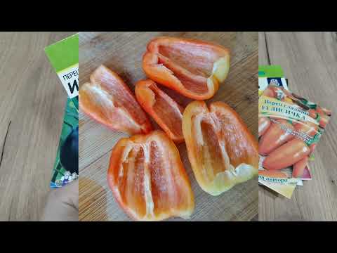 Видео: Перец и баклажаны что сажала и что выросло, отзывы о семенах 2024г.