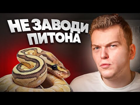 Видео: ПОСМОТРИ перед тем как заводить Королевского ПИТОНА.