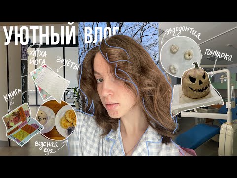 Видео: тихий uni vlog| что делает студент медицинского в выходные?