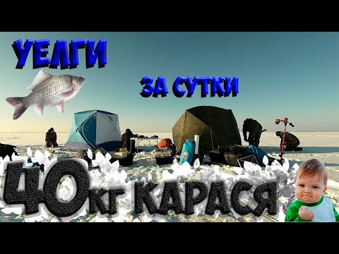 Видео: 😱Нереальный клев карася, лучшая рыбалка на оз. Уелги 🎣клюет как с пулемёта❗❗❗