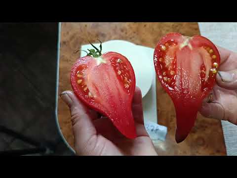 Видео: Дегустация  Часть 9
