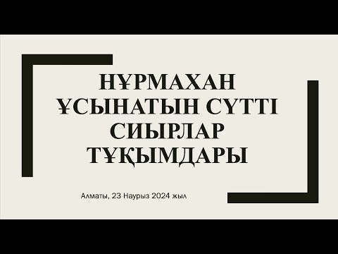 Видео: Нұрмахан ұсынатын Сүтті Сиырлар тұқымдары