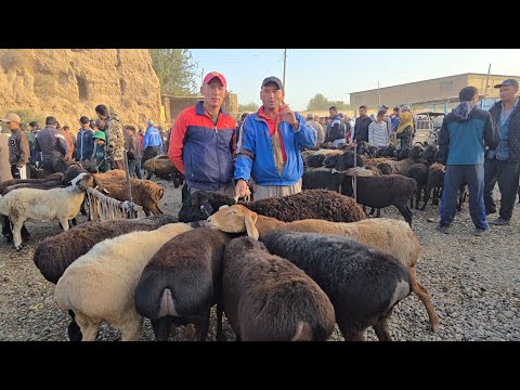 Видео: БУГУН МОЛ БОЗОР ШАХРИТУСДА КАНАКА НАРХЛАР.28.09.2025.