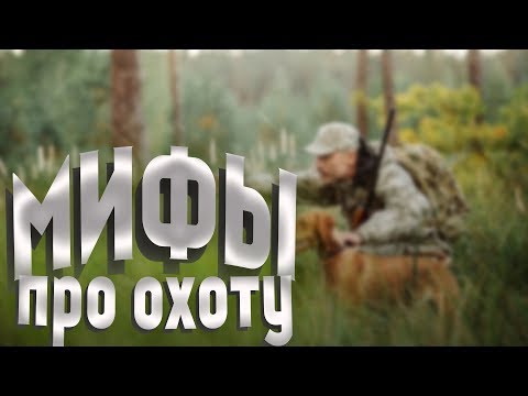 Видео: Каждый охотник должен знать МИФЫ про охоту с блочным луком и арбалетом!