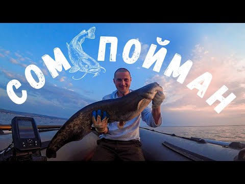 Видео: Ловля сома на квок на Волге. Июльская жара.