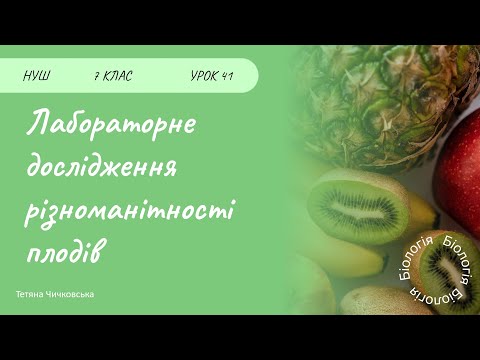 Видео: Лабораторне дослідження будови плоду