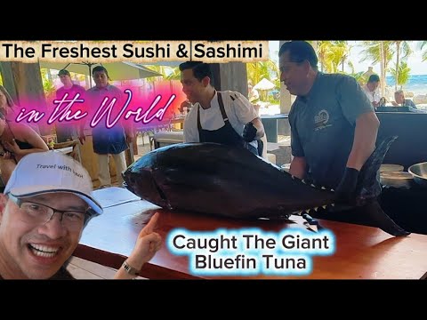 Видео: Первый опыт ловли гигантского голубого тунца, его поедание в сыром виде и финал