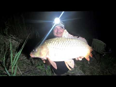 Видео: Ловим карпа на первой яме