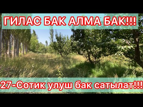 Видео: Гилас бак сатылат☎️ 0557903335, +79145533541
