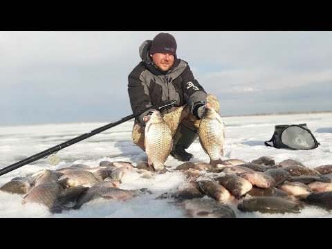 Видео: КАРАСЬ ПРОСНУЛСЯ! Боковой кивок весной