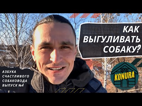 Видео: Как выгуливать собаку? Азбука счастливого собаковода. Выпуск 4