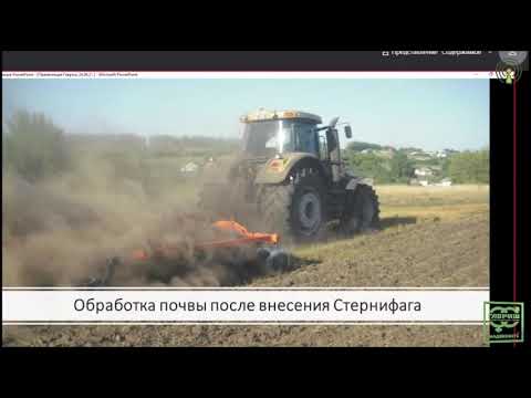 Видео: Калинин Павел - Интегрированная защита культур борщевого набора: капусты, свеклы, лука, моркови