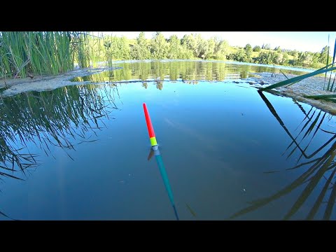 Видео: Рыбалка из детства. Активный клёв карася на поплавочную удочку.