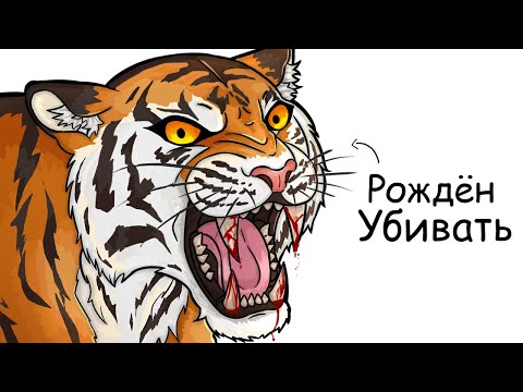 Видео: Ты – Тигр (И ЭТО ВСЯ ТВОЯ ЖИЗНЬ)
