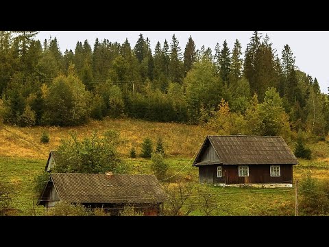 Видео: В Таёжной Глуши. Наша Реальная Жизнь. Боровики Пошли. Поймал Монстра из под Коряги.