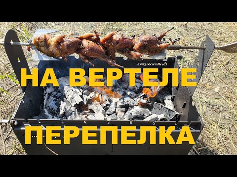 Видео: ПЕРЕПЕЛКА НА ВЕРТЕЛЕ МАНГАЛА Grillmax.pro ОХОТА НА КУБАНИ РЕЦЕПТЫ СЮФ