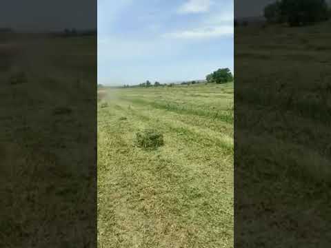 Видео: Немецкий вязальный аппарат #киргистан#прессподборщик#немецкийаппарат#симпа#класс#велгер#тукан#