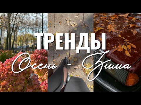Видео: ТРЕНДЫ ОСЕНЬ - ЗИМА 2025/2026 | Что модно этой осенью и зимой?  Главные тренды сезона.