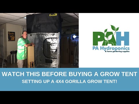 Видео: ПОСМОТРИТЕ ЭТО, ПРЕЖДЕ ЧЕМ ПОКУПАТЬ ПАЛАТКУ ДЛЯ РАСТЕНИЯ. УСТАНОВКА ПАЛАТКИ ДЛЯ РАСТЕНИЯ 4X4 GORILA
