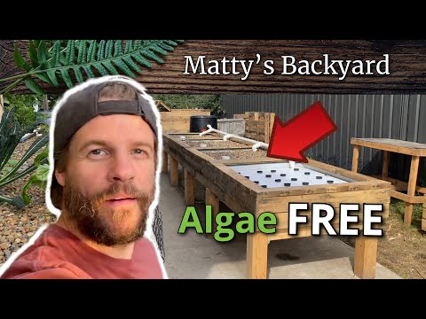 Видео: Деревянная облицовка системы аквапоники #аквапоника #аквапоническаясистема #какпостроить