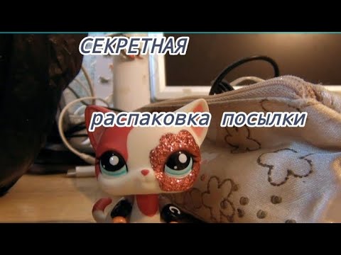 Видео: LPS: СЕКРЕТНАЯ РАСПАКОВКА ПОСЫЛКИ