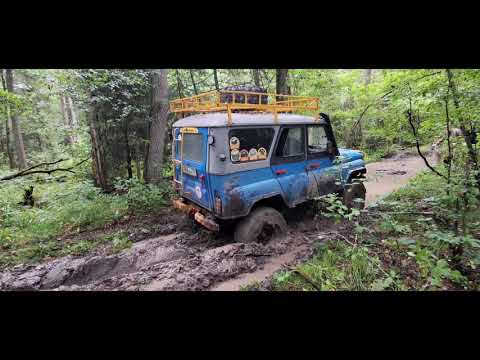 Видео: Выезд 06.09.25 #болота #лесной #offroad #топ  #уаз #уазик #уаз-469  #газ66 