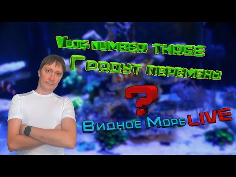 Видео: Vlog #3 Грядут перемены?