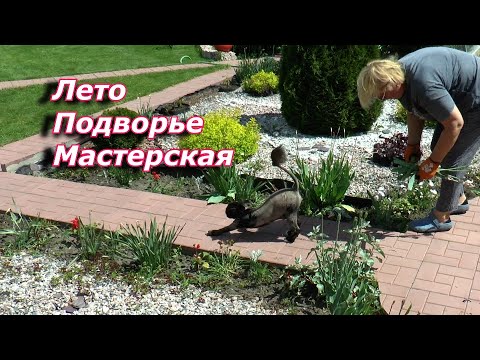 Видео: Чем мы занимаемся