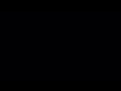 Видео: RDO странные байки из Байю