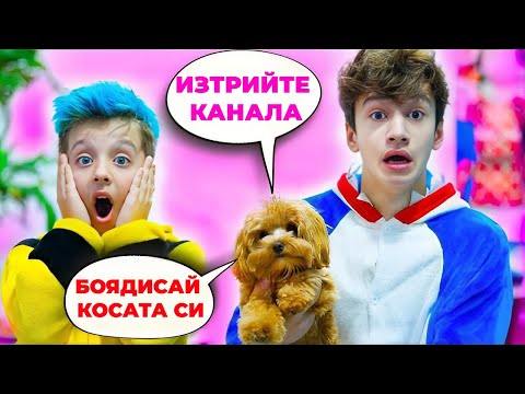 Видео: Предизвикателство: Кучето управлява нашия живот 24 часа! 🐶 | Boys and Toys Bulgarian