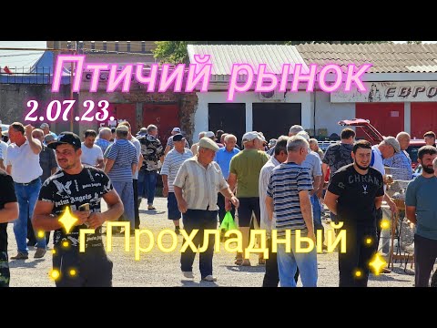 Видео: Голуби цены Птичий рынок г Прохладный