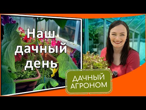 Видео: Наш день на участке: ФОРМИРОВКА огурцов и томатов в теплице и открытом грунте