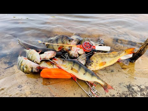 Видео: ЗИМНЯЯ РЫБАЛКА - ЛЕТОМ!  ТИХО, ТИХО, ТУТ ФРИКЦИОНА НЕТ, ВЫЛАЗЬ ДАВАЙ. РЫБАЛКА 2021 В ОТВЕС.