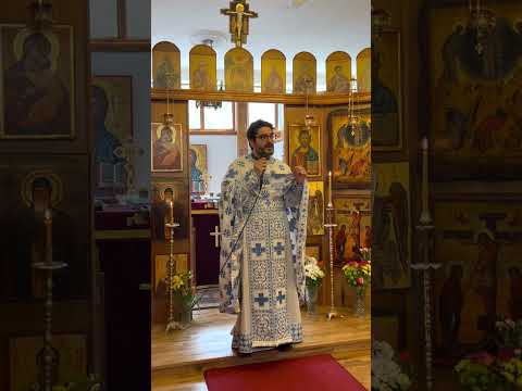 Видео: Защо е важно за спасението ни изповядването на догматите на Църквата? (прот. д-р Добромир Димитров)