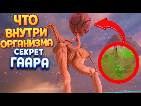 Видео: МИР ВНУТРИ БОЛЬШОГО ГААРА ( The Eternal Cylinder )