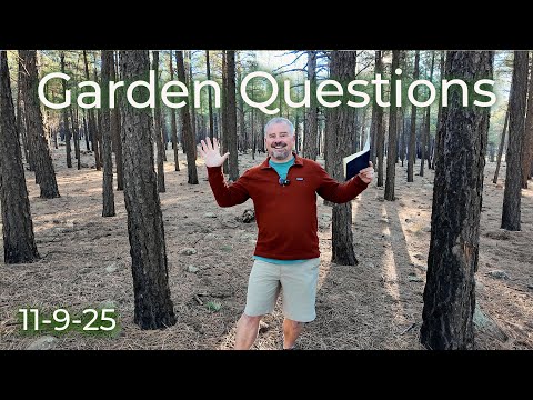 Видео: Способы зимовки растений, как сажать сейчас?, репейники, растения, чувствительные к воде, вопросы...