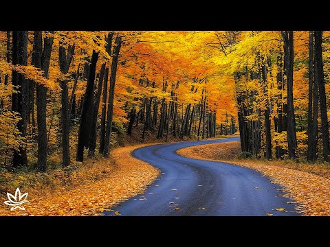 Видео: Красивая расслабляющая музыка 🍂 Перестаньте слишком много думать, музыка для снятия стресса с осенн
