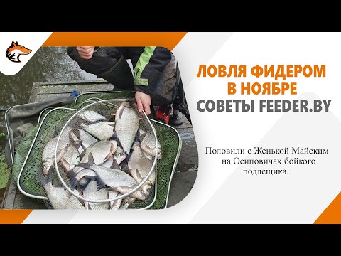 Видео: Рыбалка c фидером и спиннингом поздней осенью на Осиповичах
