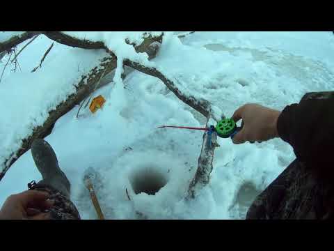 Видео: Это просто кайф найти такую рыбу! Рыбалка на Оби.