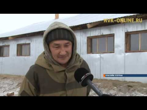Видео: Кэбээйигэ «Саҕалааччы фермер» программанан саҥа хотон тутуута түмүктэнэн эрэр