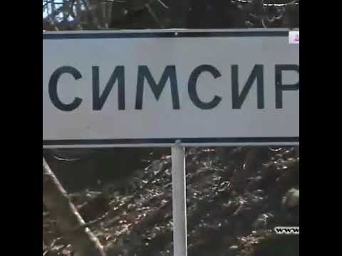 Видео: Симсир