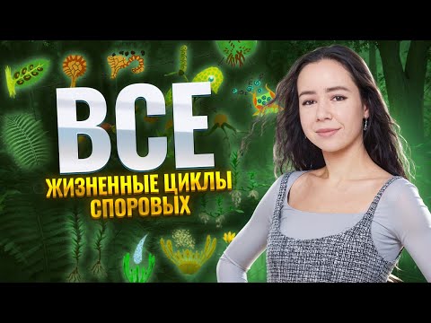 Видео: ВСЕ жизненные циклы споровых в одном видео | Биология ЕГЭ | Умскул