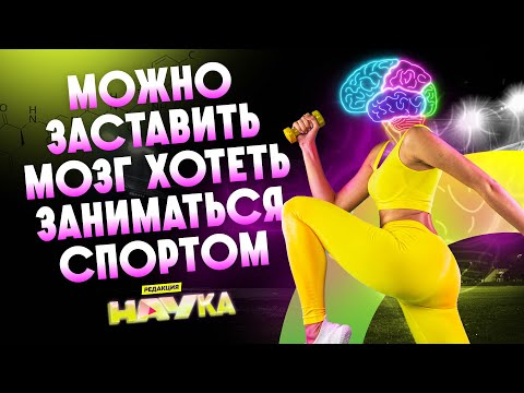 Видео: СПОРТ ⚡️ Редакция.Наука