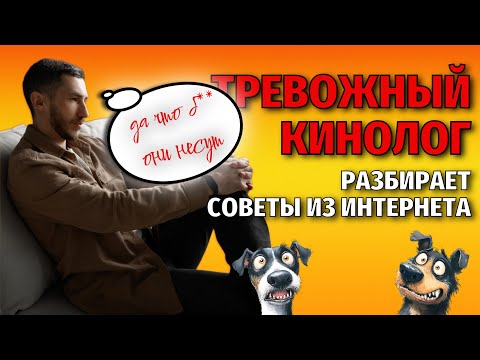 Видео: Разбираем советы из интернета про воспитание собак