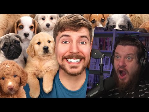 Видео: Я Спас 100 Брошенных Собак! | РЕАКЦИЯ НА MrBeast