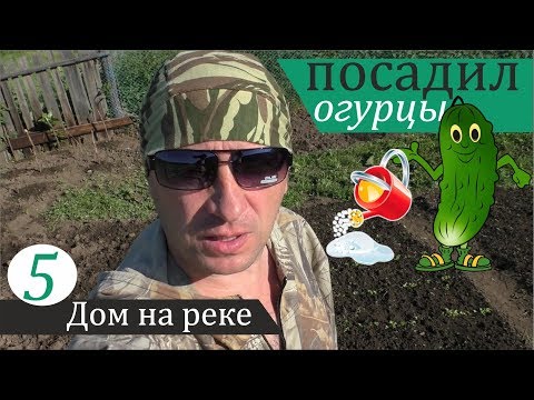 Видео: Деревенские будни: рассада, прополка, полив. Дом на реке, часть 5