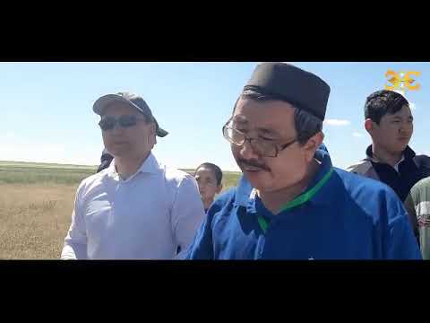 Видео: Орал - Аққұм саяхаты!